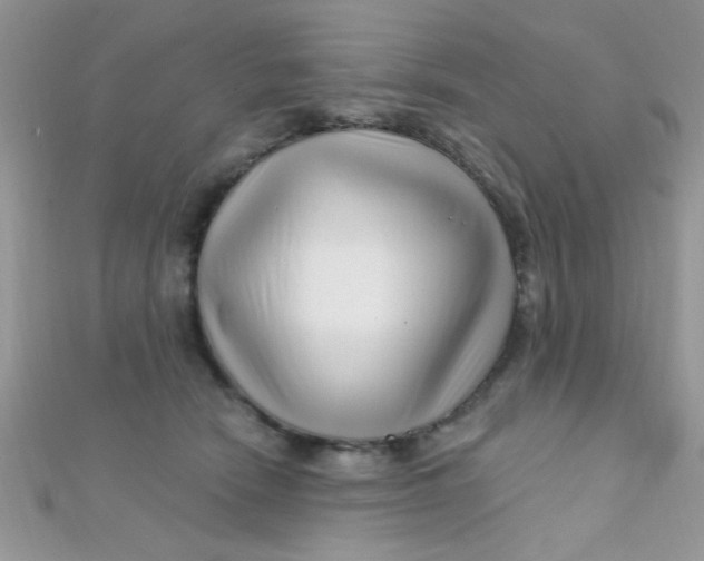 X0000112390466200909032017