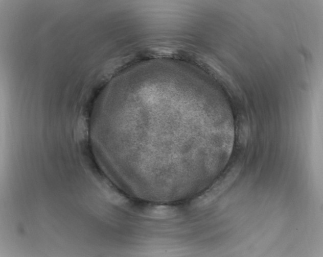 X0000112390467200909032017