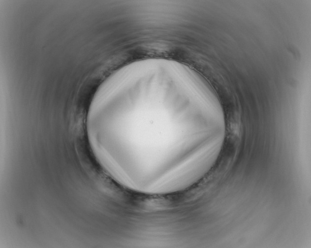 X0000112390468200909032017