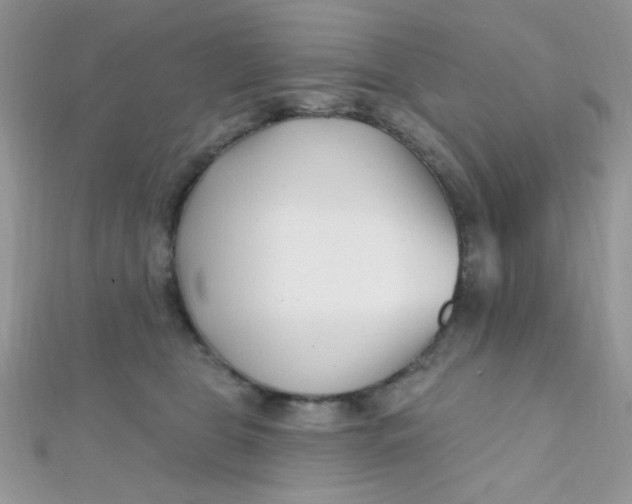 X0000112390469200909032017