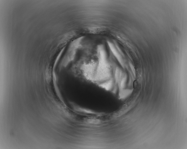 X0000112390471200909032017