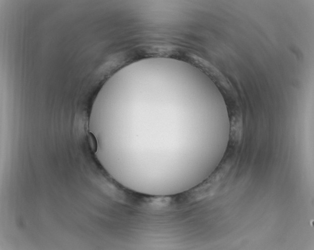 X0000112390474200909032017