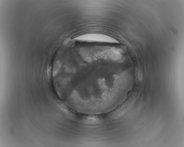 X0000112390475200909032017