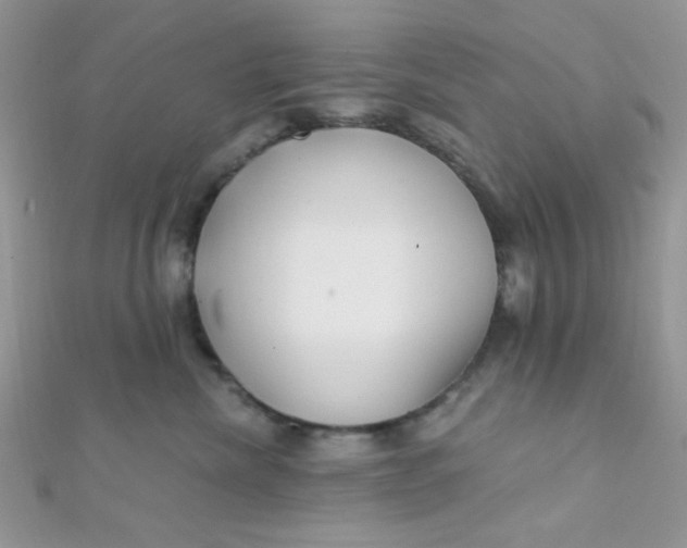 X0000112390476200909032017