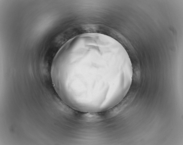 X0000112390477200909032017