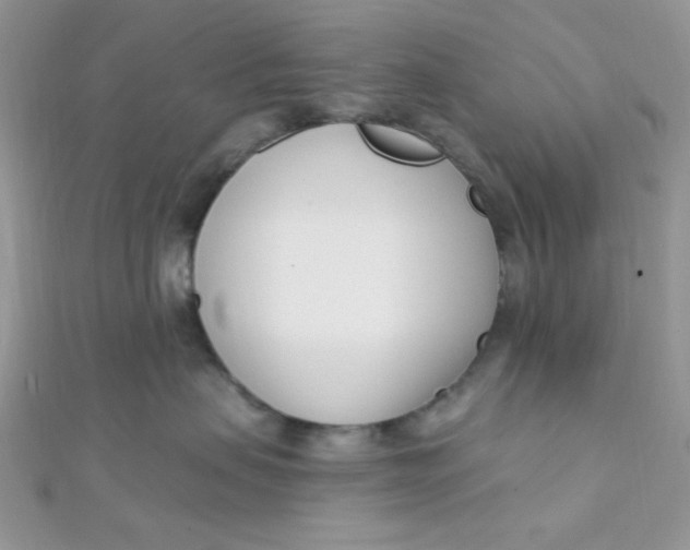 X0000112390479200909032017