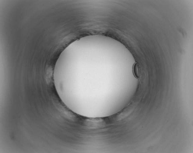 X0000112390480200909032017