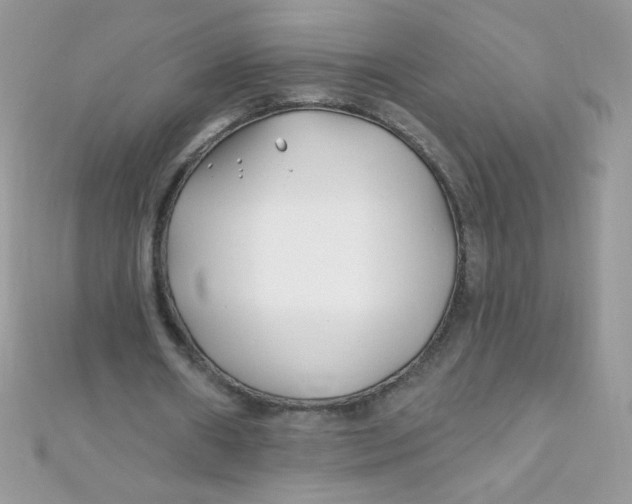 X0000112390482200909032017