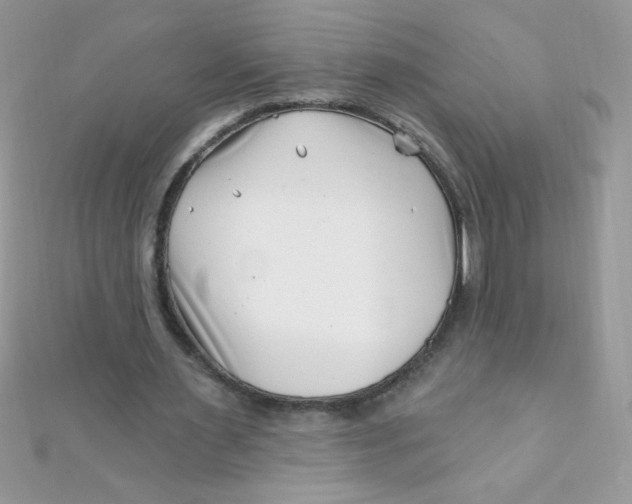 X0000112390483200909032017