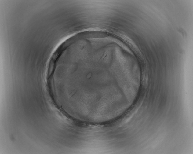 X0000112390484200909032017