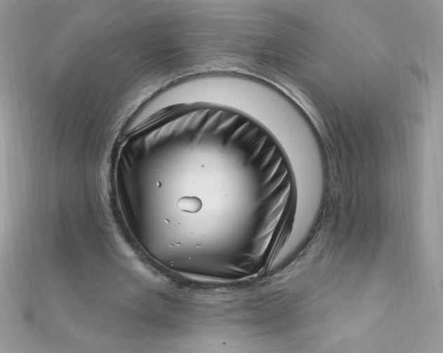 X0000112390485200909032017