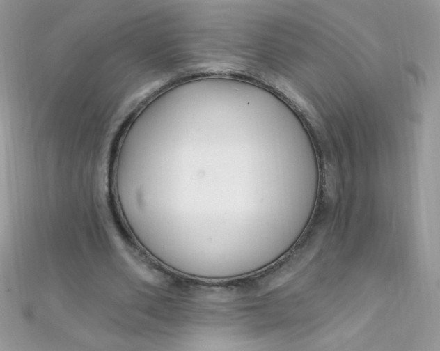 X0000112390486200909032017