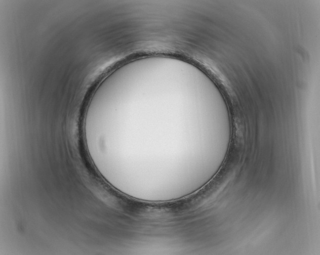 X0000112390487200909032017