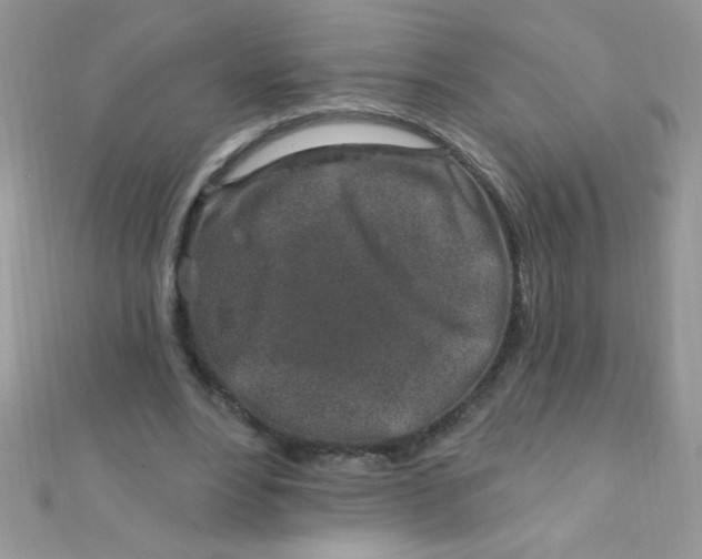 X0000112390488200909032017