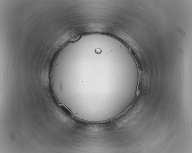 X0000112390489200909032017