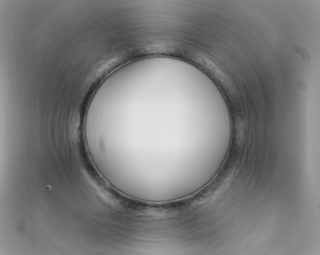 X0000112390490200909032017