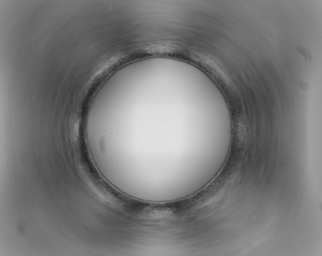 X0000112390491200909032017