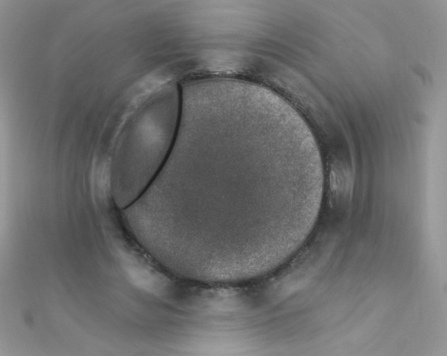 X0000112390492200909032017