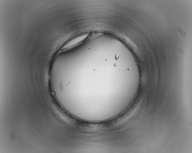 X0000112390493200909032017