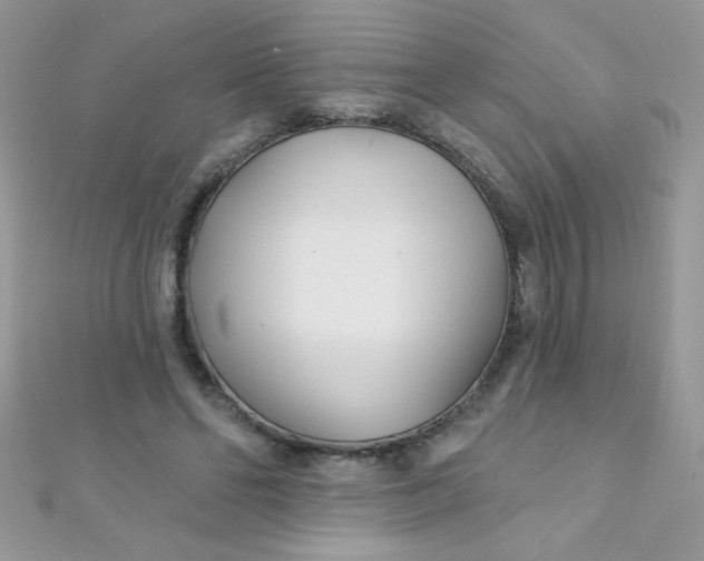 X0000112390494200909032017