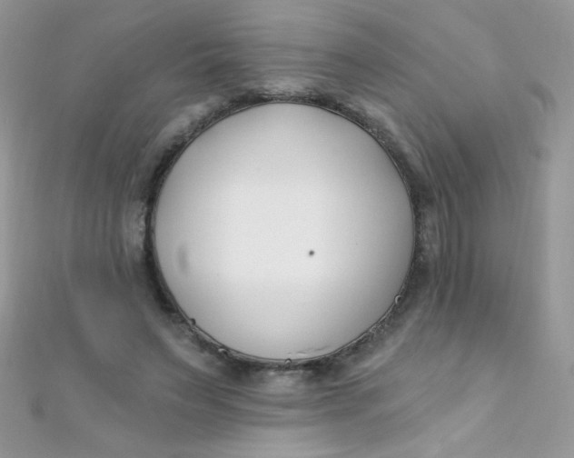 X0000112390495200909032017