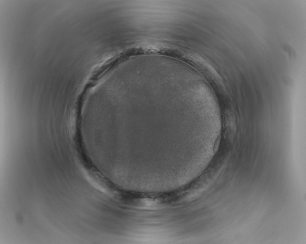 X0000112390496200909032017