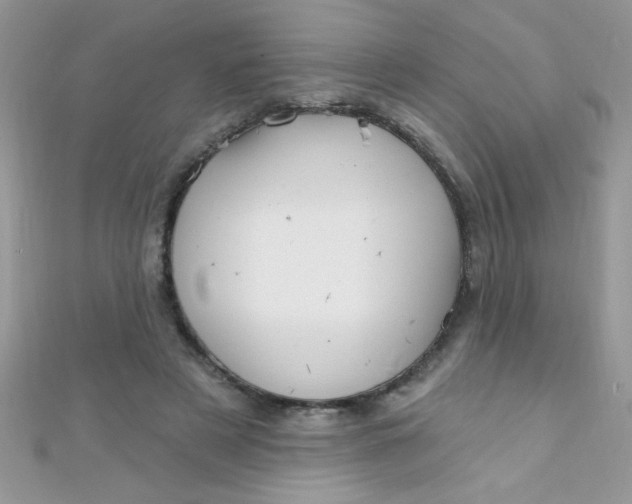 X0000112390497200909032017