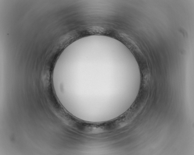 X0000112390498200909032017