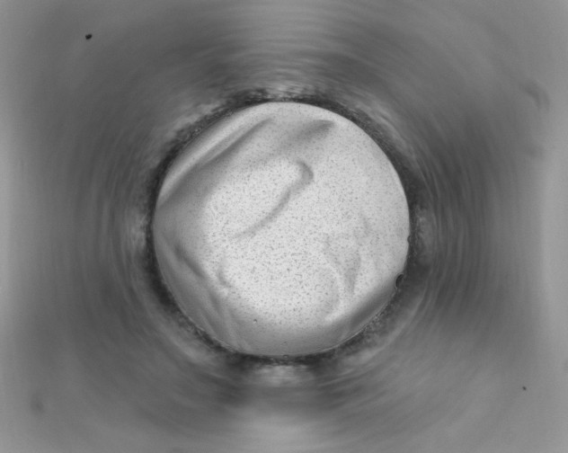 X0000112390499200909032017