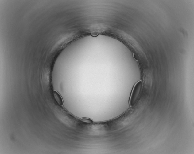 X0000112390501200909032017