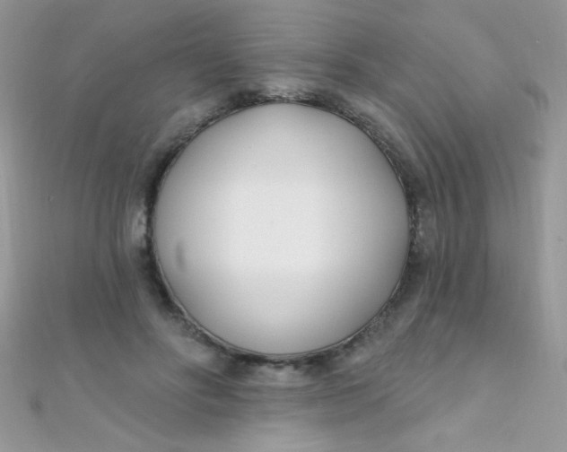 X0000112390502200909032017