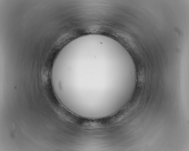 X0000112390503200909032016