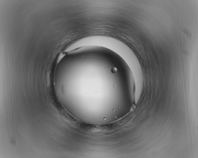 X0000112390504200909032016