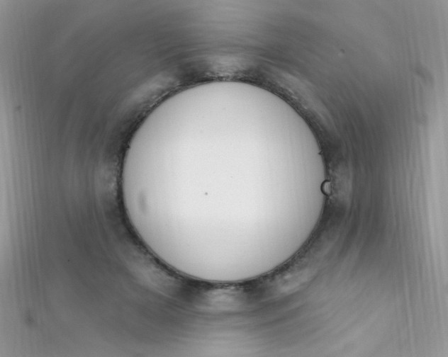 X0000112390505200909032016