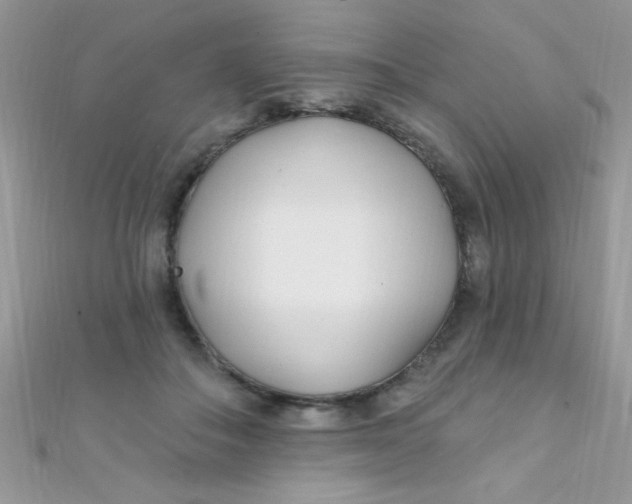 X0000112390506200909032016