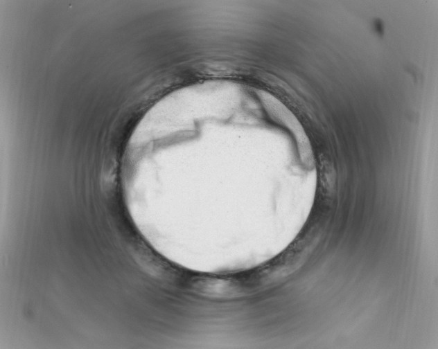 X0000112390507200909032016