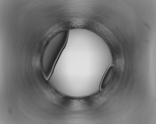 X0000112390508200909032016