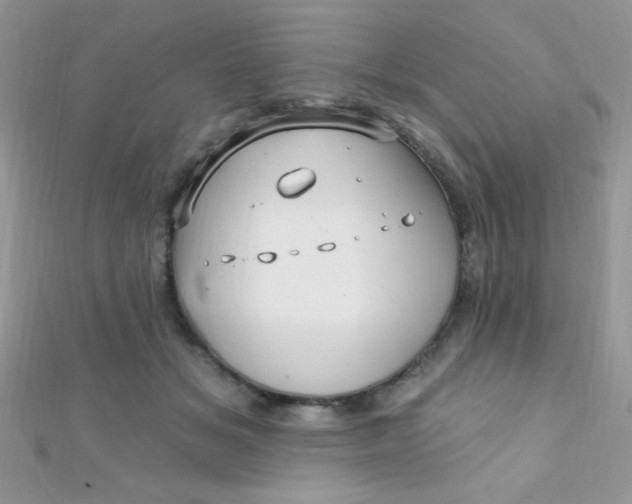 X0000112390509200909032016