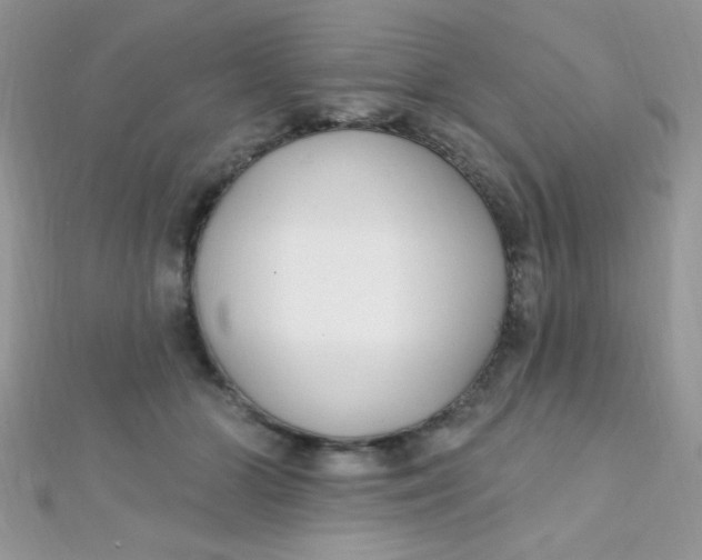 X0000112390510200909032016