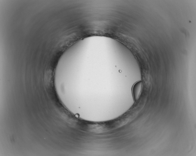 X0000112390511200909032016