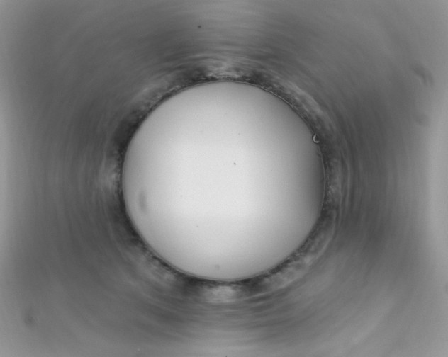 X0000112390513200909032016