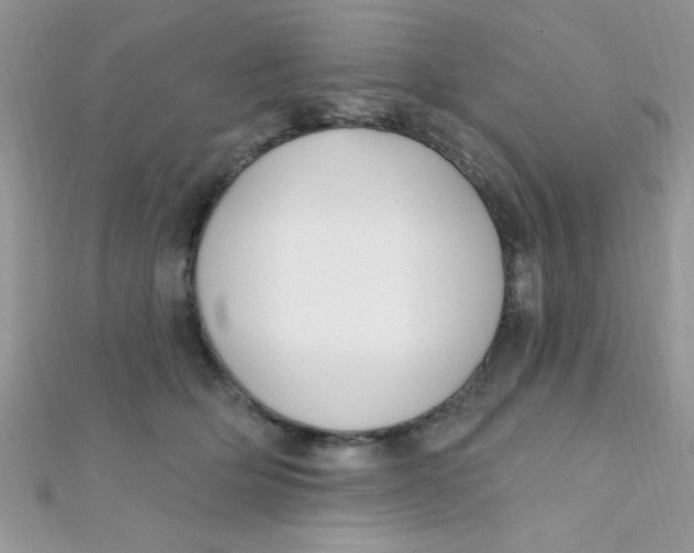 X0000112390514200909032016