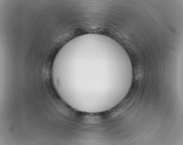 X0000112390515200909032016