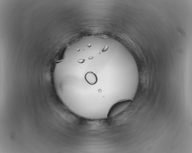 X0000112390516200909032016