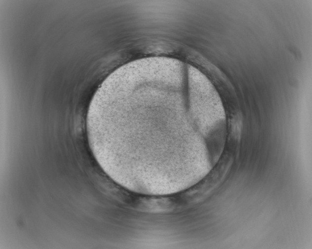 X0000112390517200909032016