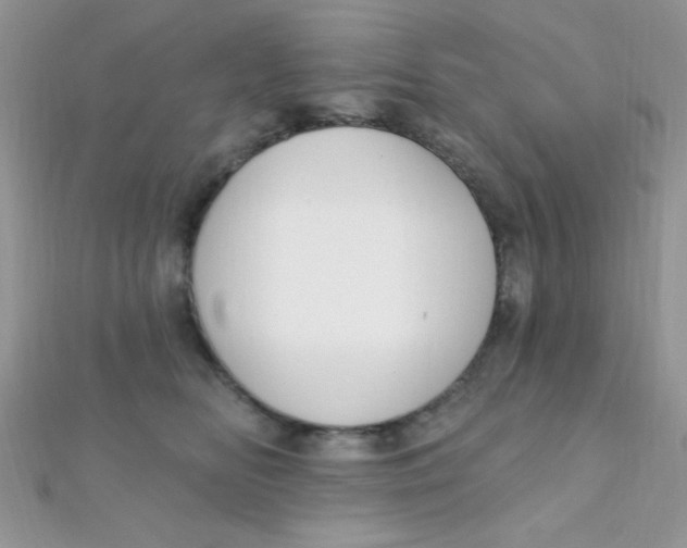 X0000112390518200909032016