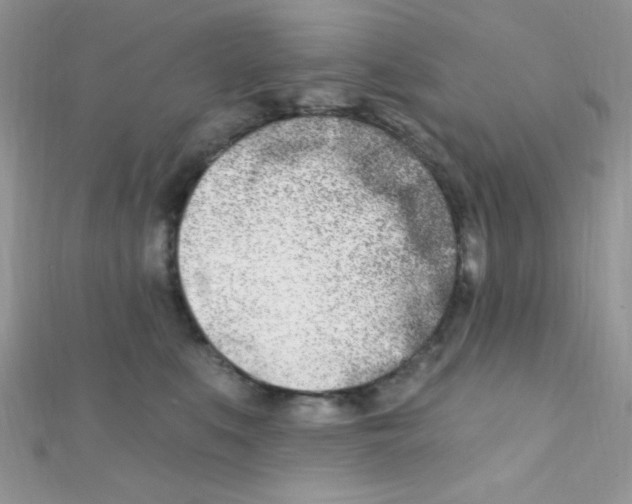 X0000112390519200909032016