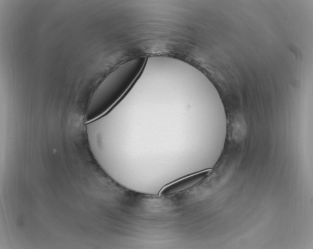 X0000112390521200909032016