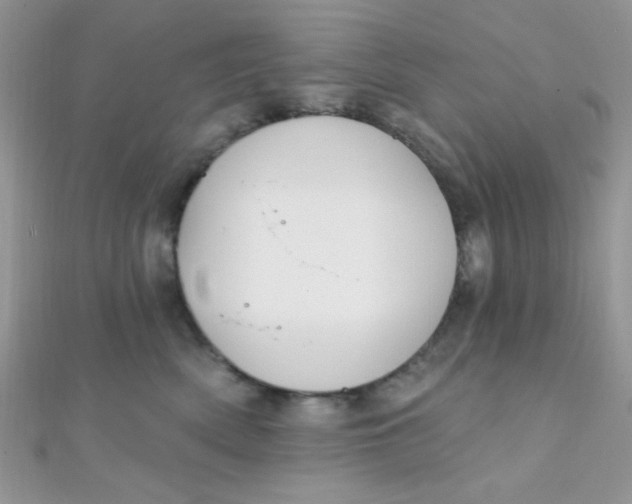 X0000112390522200909032016