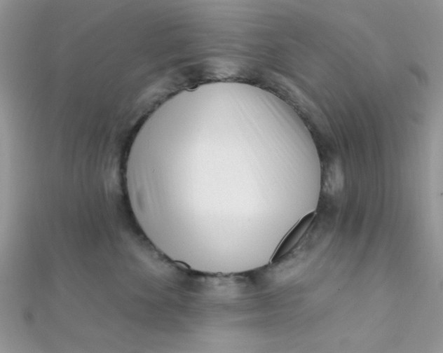 X0000112390524200909032016